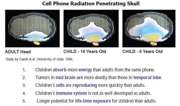 cellphoneradiation